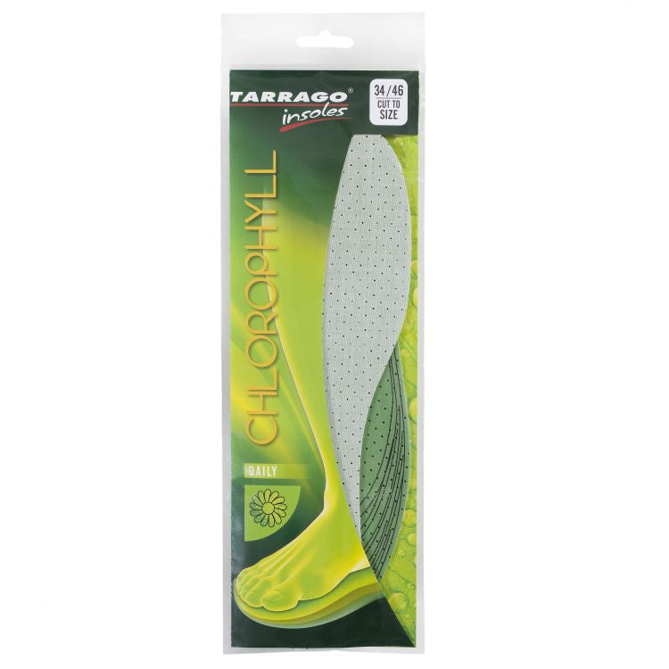 Chlorophyll